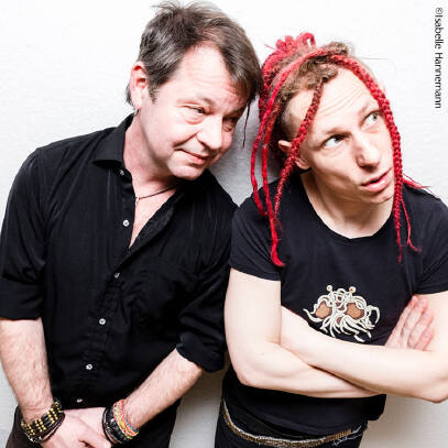 Abstürzende Brieftauben