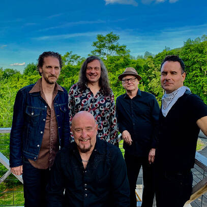 The Fabulous Thunderbirds