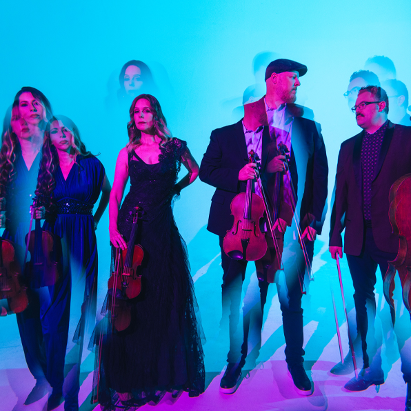 Vitamin String Quartet